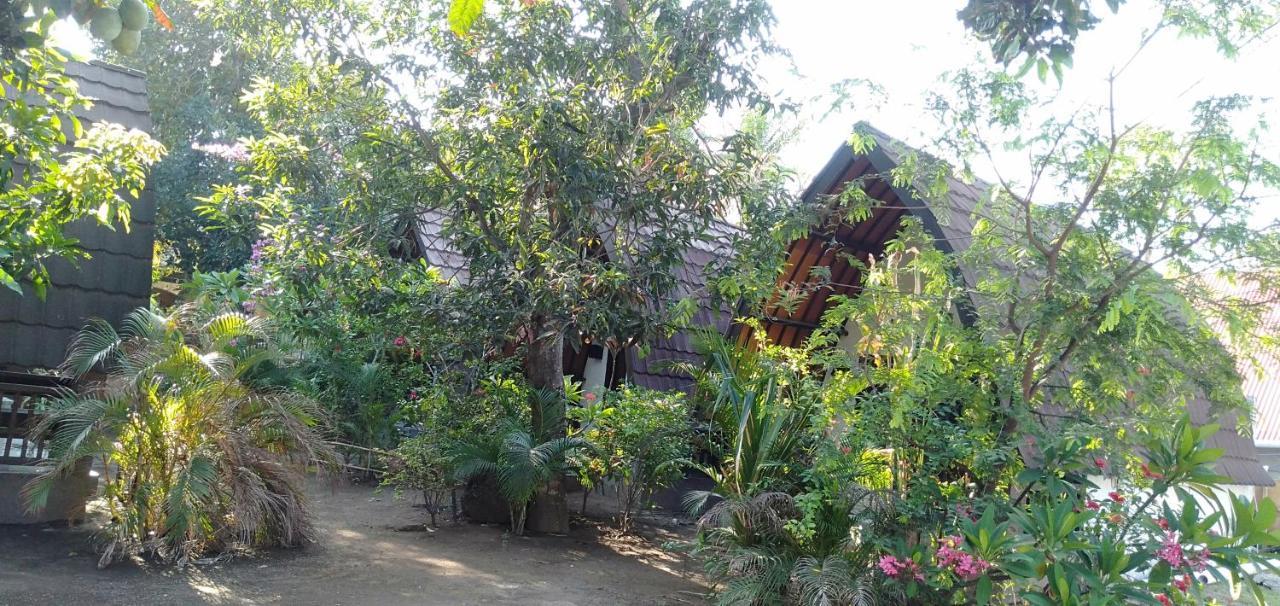Hello Lumbung Homestay ギリ・アイル エクステリア 写真